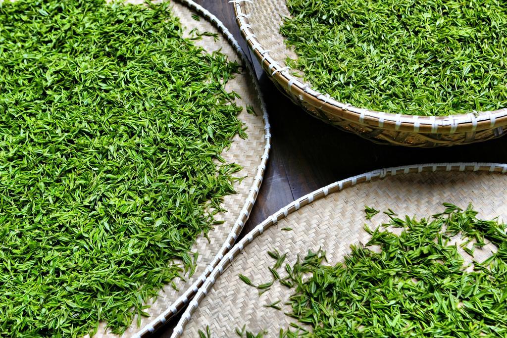 Landison Longjing Resort Hangzhou Luaran gambar