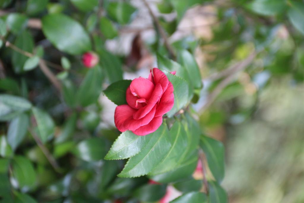 Landison Longjing Resort Hangzhou Luaran gambar
