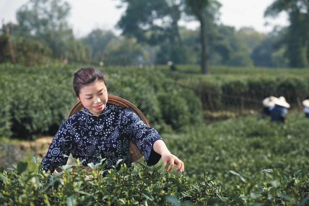 Landison Longjing Resort Hangzhou Luaran gambar